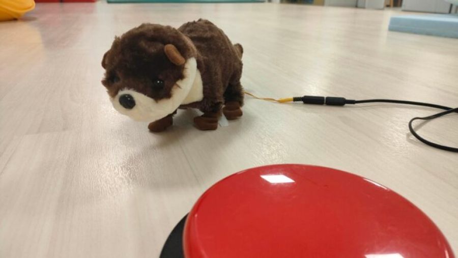 スイッチでカワウソボウリング